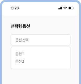 ���� �ɼ�